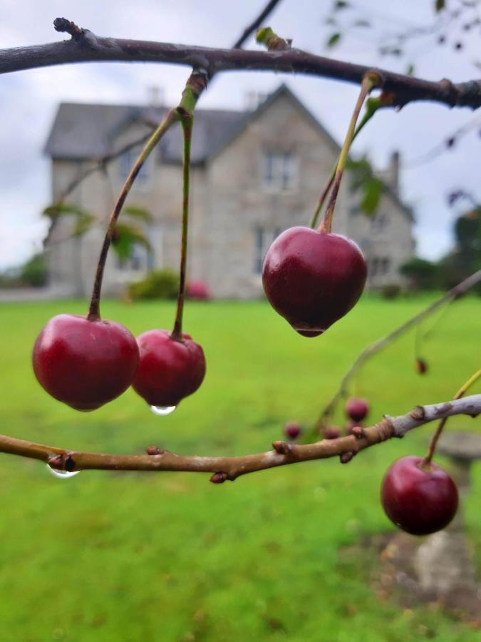 Lorum Old Rectory Bagenalstown Esterno foto