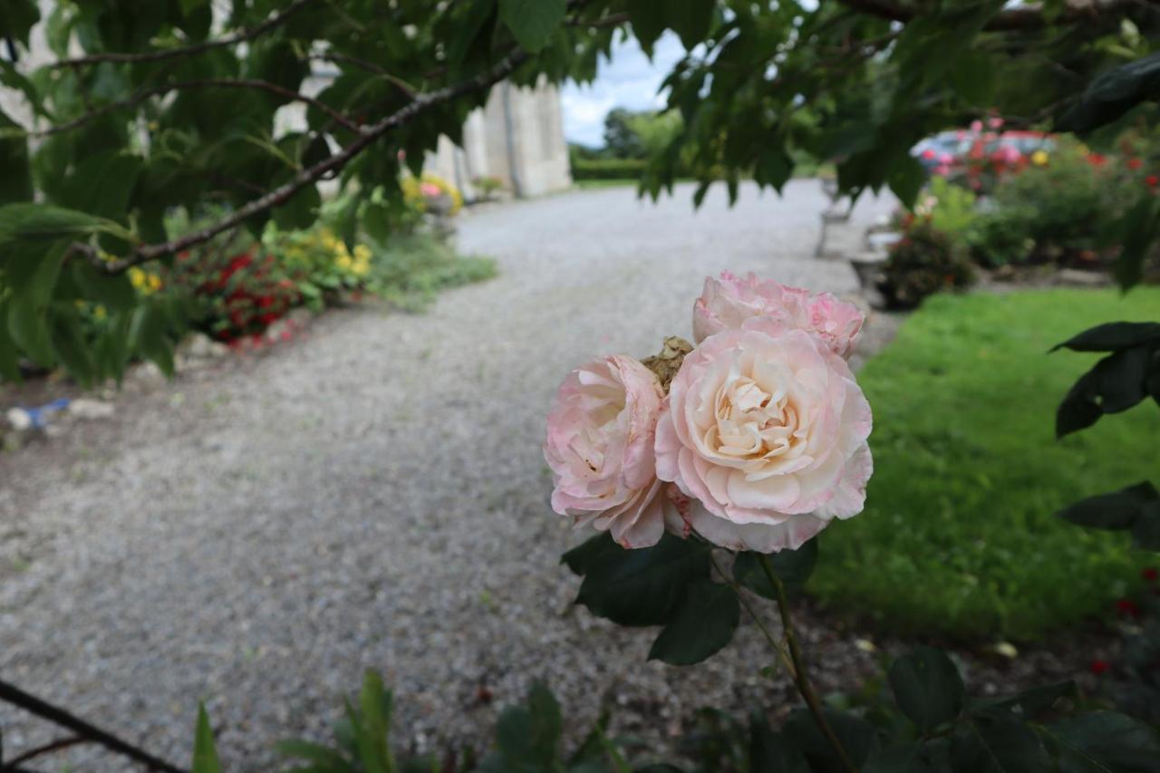Lorum Old Rectory Bagenalstown Esterno foto